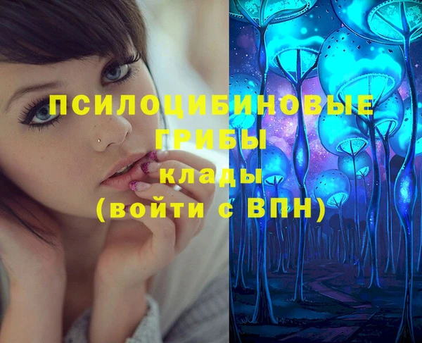 тгк Верея