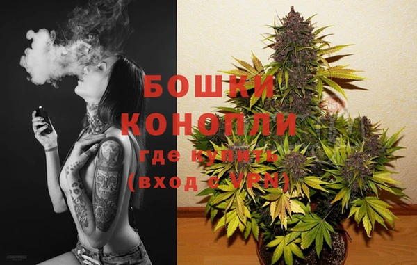 мяу мяу мука Сясьстрой